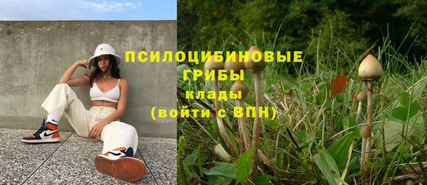 герыч Арсеньев