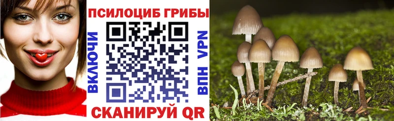 продажа наркотиков  Октябрьск  Галлюциногенные грибы мицелий 