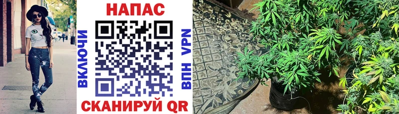 дарк нет Telegram  Октябрьск  Конопля OG Kush 